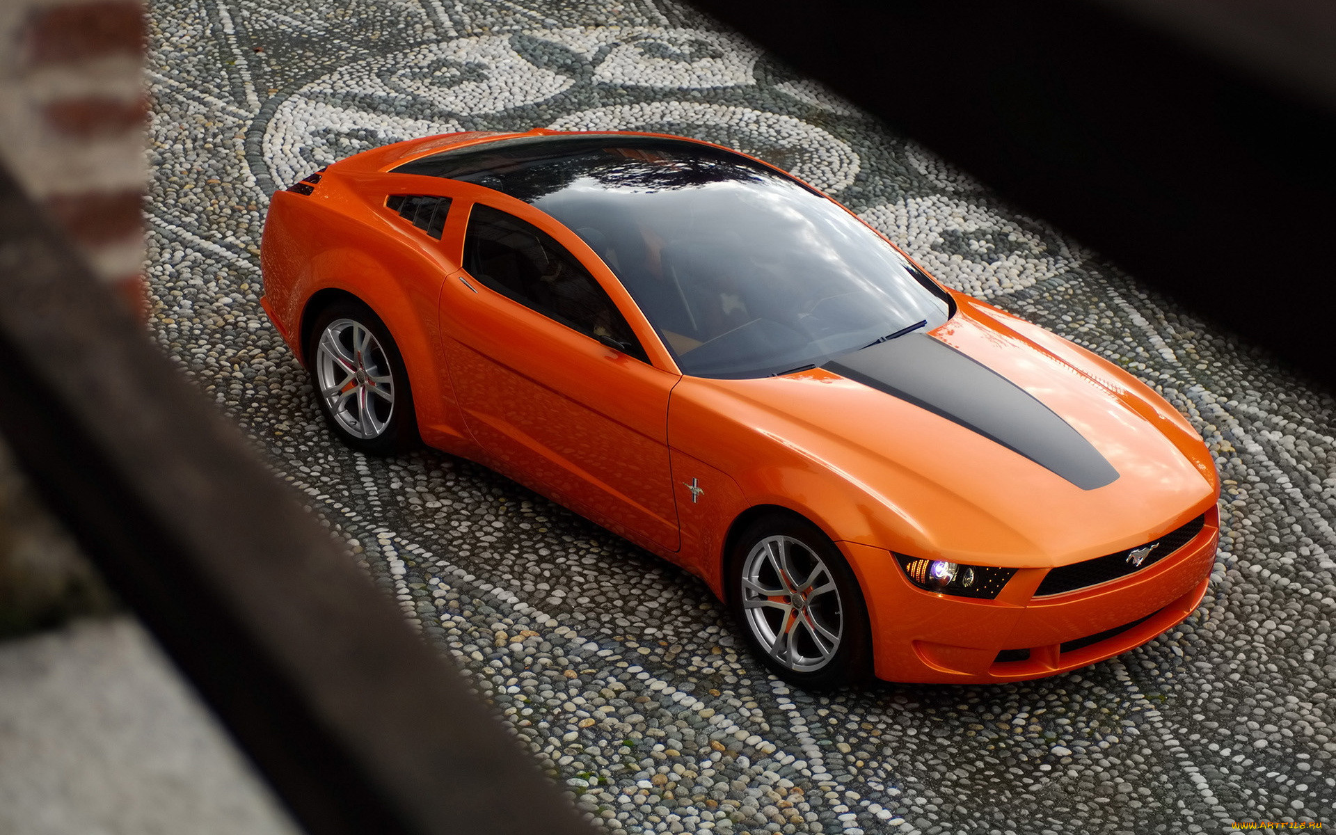 , mustang